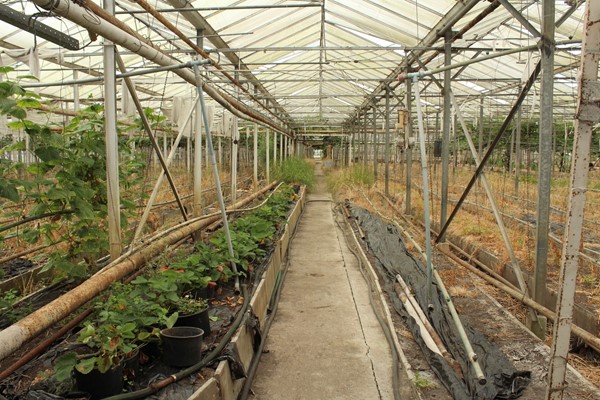 Medium property photo - Achterdiep Noordzijde, 9611 BT Sappemeer